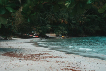 20c356e487df504f17dfd6873bde0415 Excursion en Martinique : découvrez la baignoire de Joséphine et naviguez avec Chab’Island