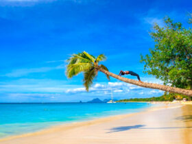 voyager martinique Découvrir la Martinique : tout ce que vous devez savoir pour un voyage réussi