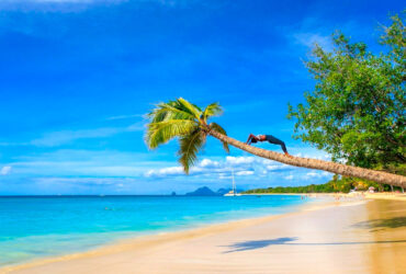 voyager martinique Découvrir la Martinique : tout ce que vous devez savoir pour un voyage réussi