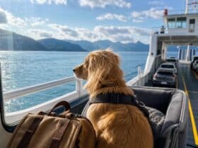 Voyager en ferry
