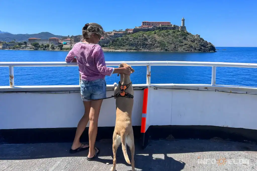 Ferry avec animaux de compagnie avis