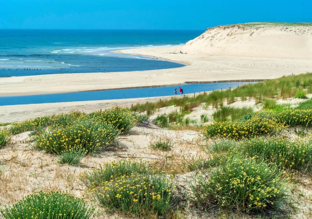 Moliets plage