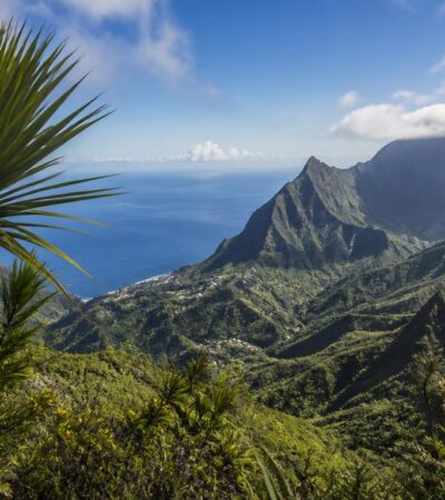 bonnes raisons daimer la reunion