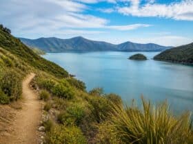 queen charlotte track women vs wild