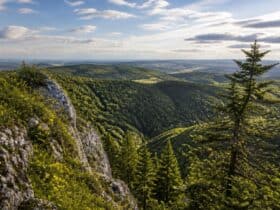 randonner sur le massif de la croix scaille joyau vert des ardennes