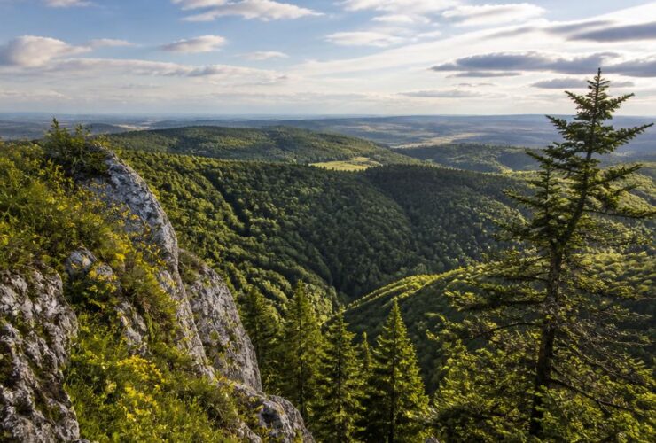 randonner sur le massif de la croix scaille joyau vert des ardennes