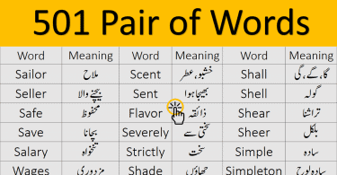 501 Pair of Words Meaning in Urdu PDF Book learn homophones also called pair of words for exams like CSS, PMS, NTS, PPSC, FPSC, OTS, UPSC, also for class 9th, 10th, 2nd year exams preparation with their Urdu meanings.
