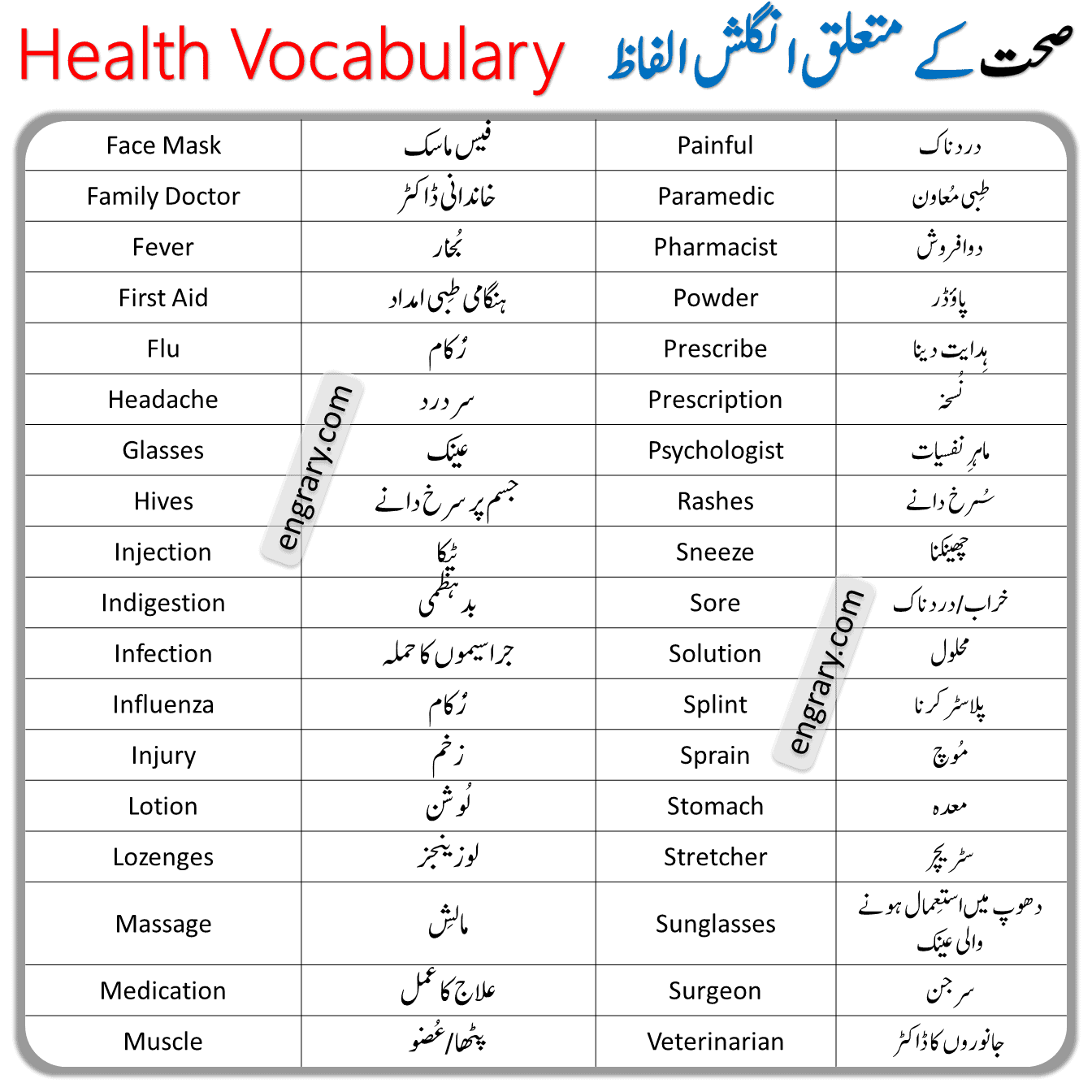 health Vocabulary Words list