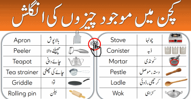 Kitchen Utensils Vocabulary Words in English and Urdu learn list of kitchen things names in Urdu equipment, tools and items used in kitchen with their pictures.