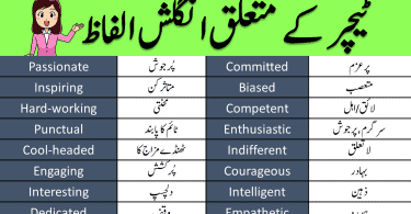 teacher vocabulary words in English