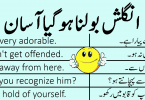 101 Daily Use English Sentences with Urdu Translation