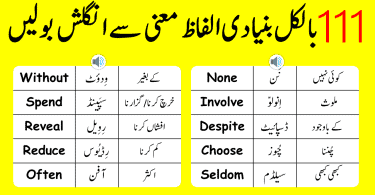 111 English Word Meaning in Urdu with Pronunciation and PDF