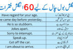 60 English Conversation Sentences Translated in Urdu