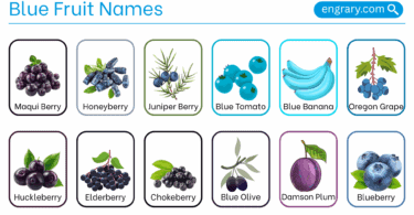 Blue fruit names in English with Images