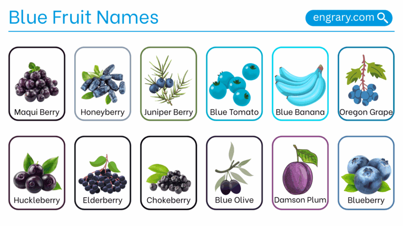 Blue fruit names in English with Images