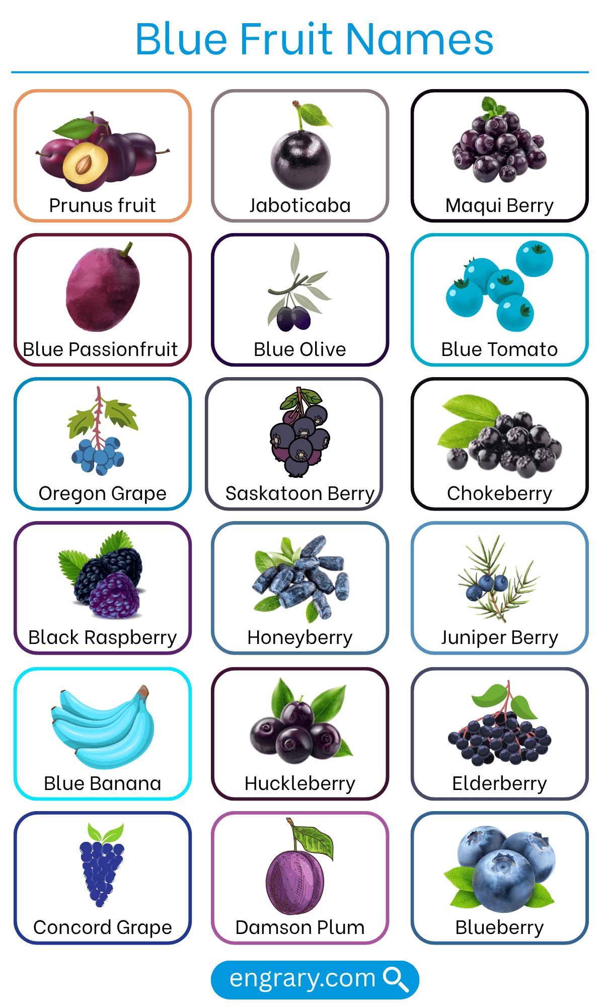 Complete list of blue fruit names