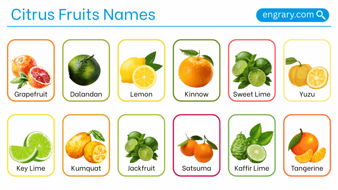 Citrus fruit names with pictures