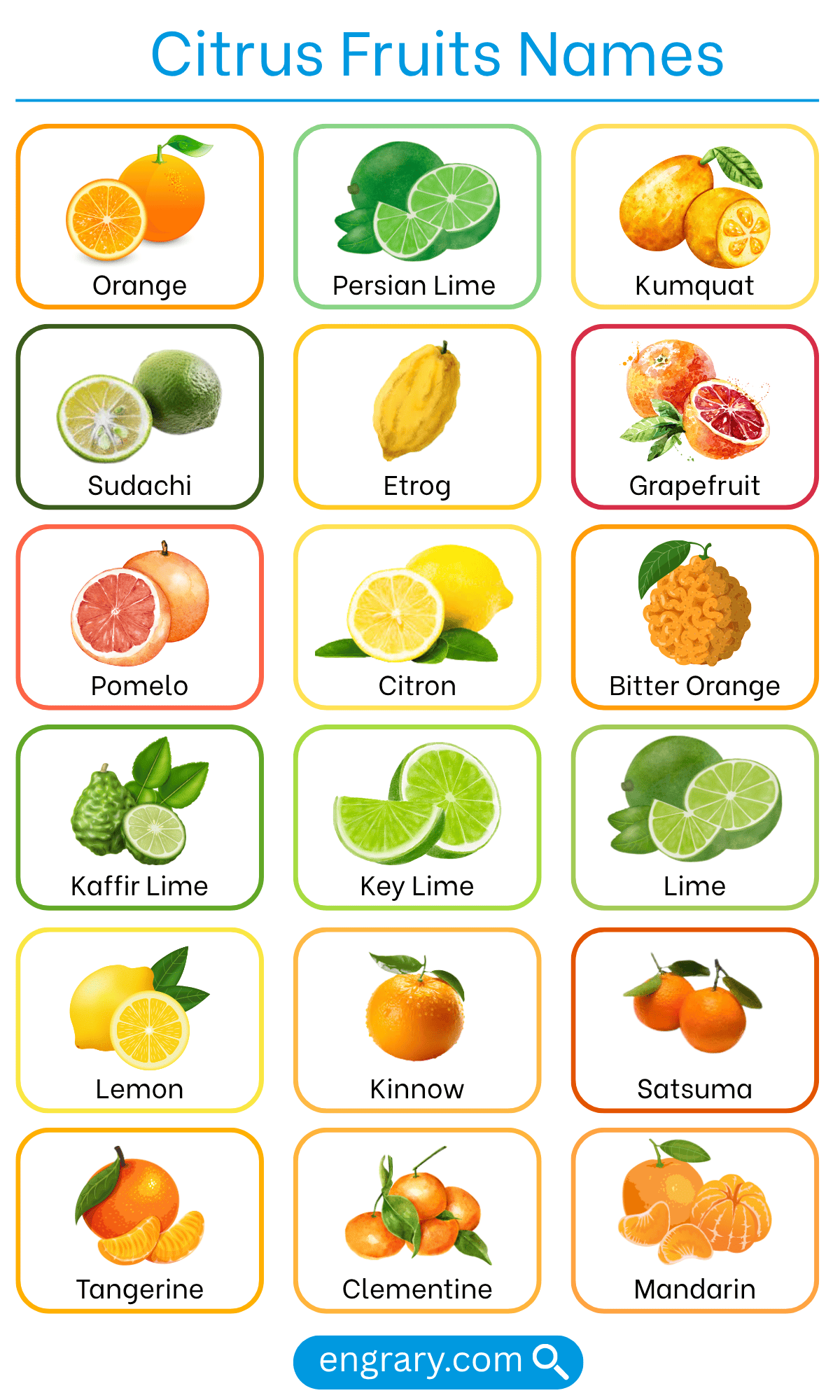 List of citrus fruit names in English
