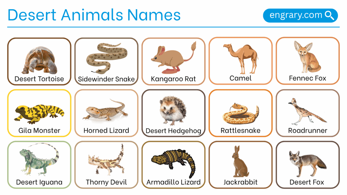 Desert animals names with pictures in English