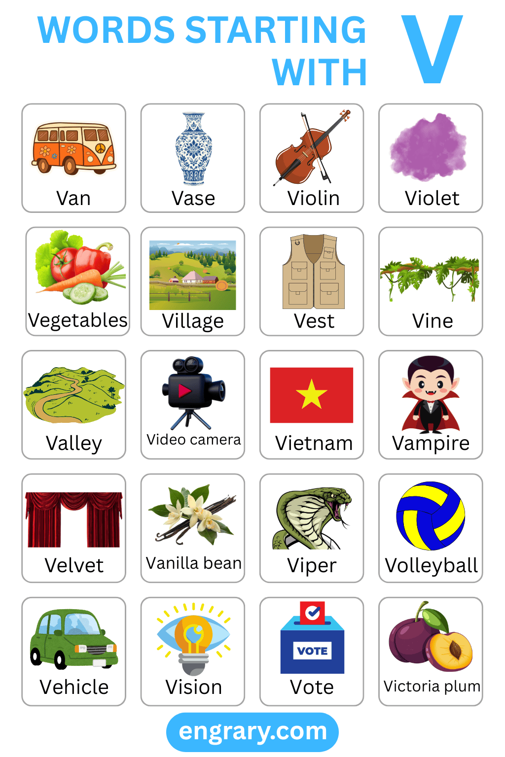 List of Words Starting with V with visual examples