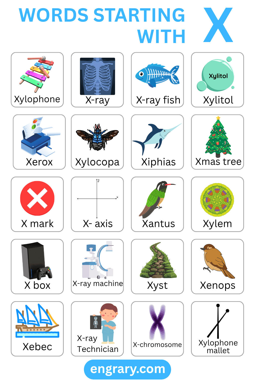 Words starting with X in English