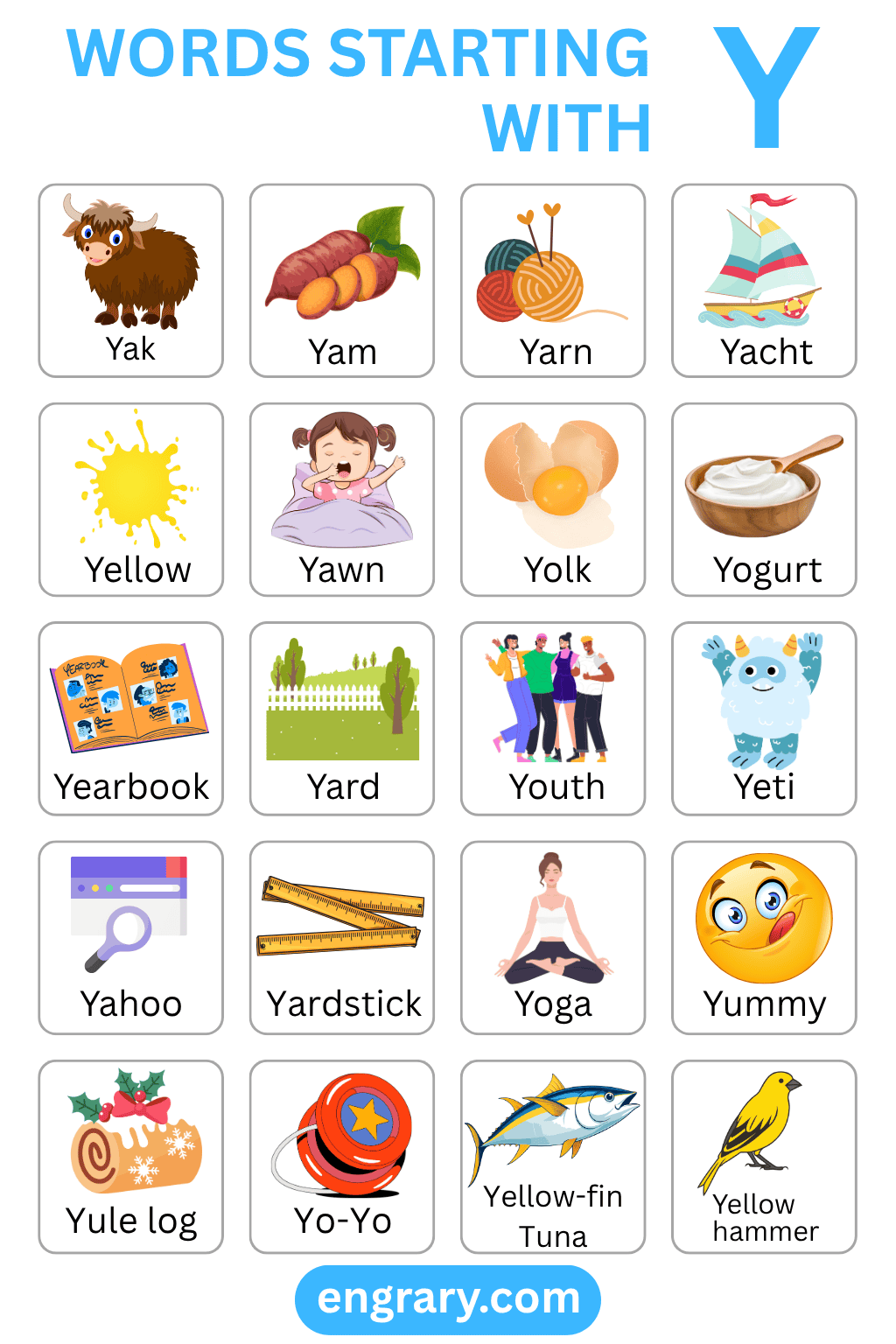 Words that start with Y in English