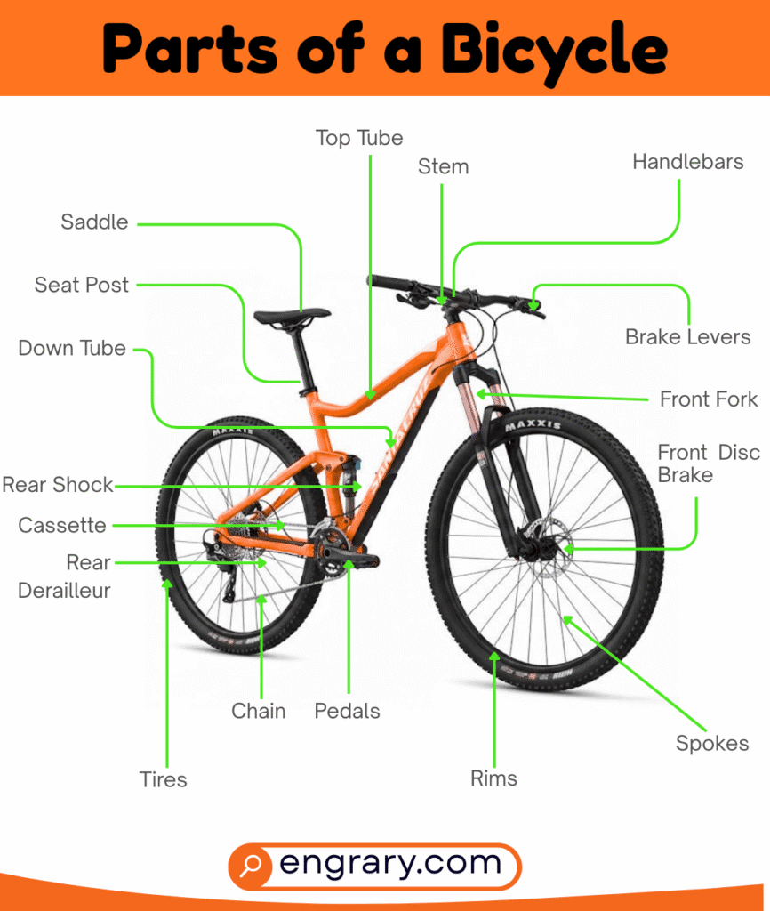 Organized list of bicycle parts names and functions grouped by the main sections of a bicycle