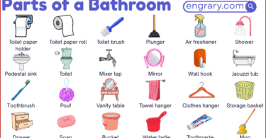 parts of a toilet with pictures including toilet bowl, tank, seat, lid, flush handle, fill valve, flapper, overflow tube, wax ring, and shutoff valve