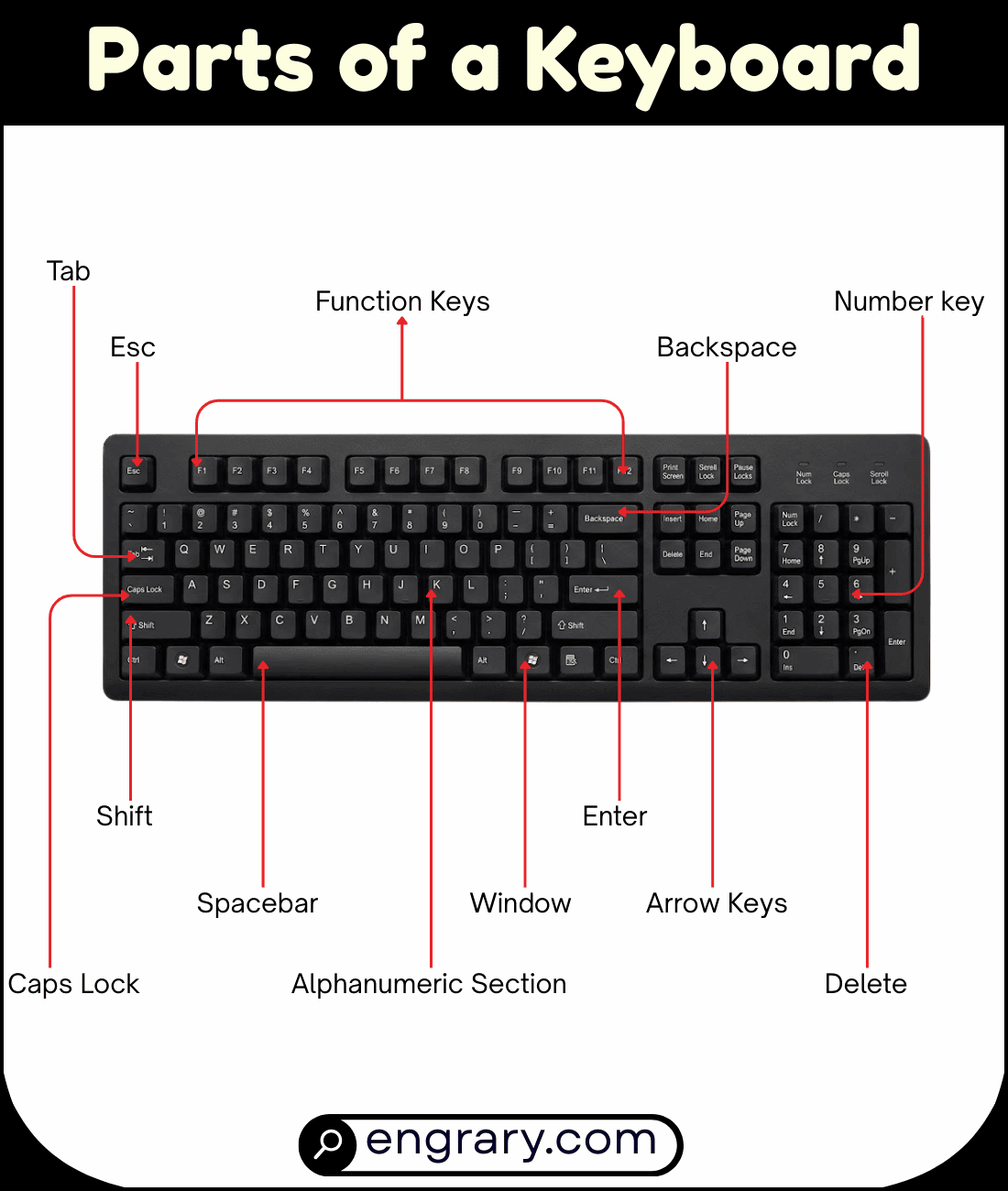 Complete list of keyboard parts with pictures showing 40 plus keyboard names including key groups, number pad, navigation keys, and connection parts