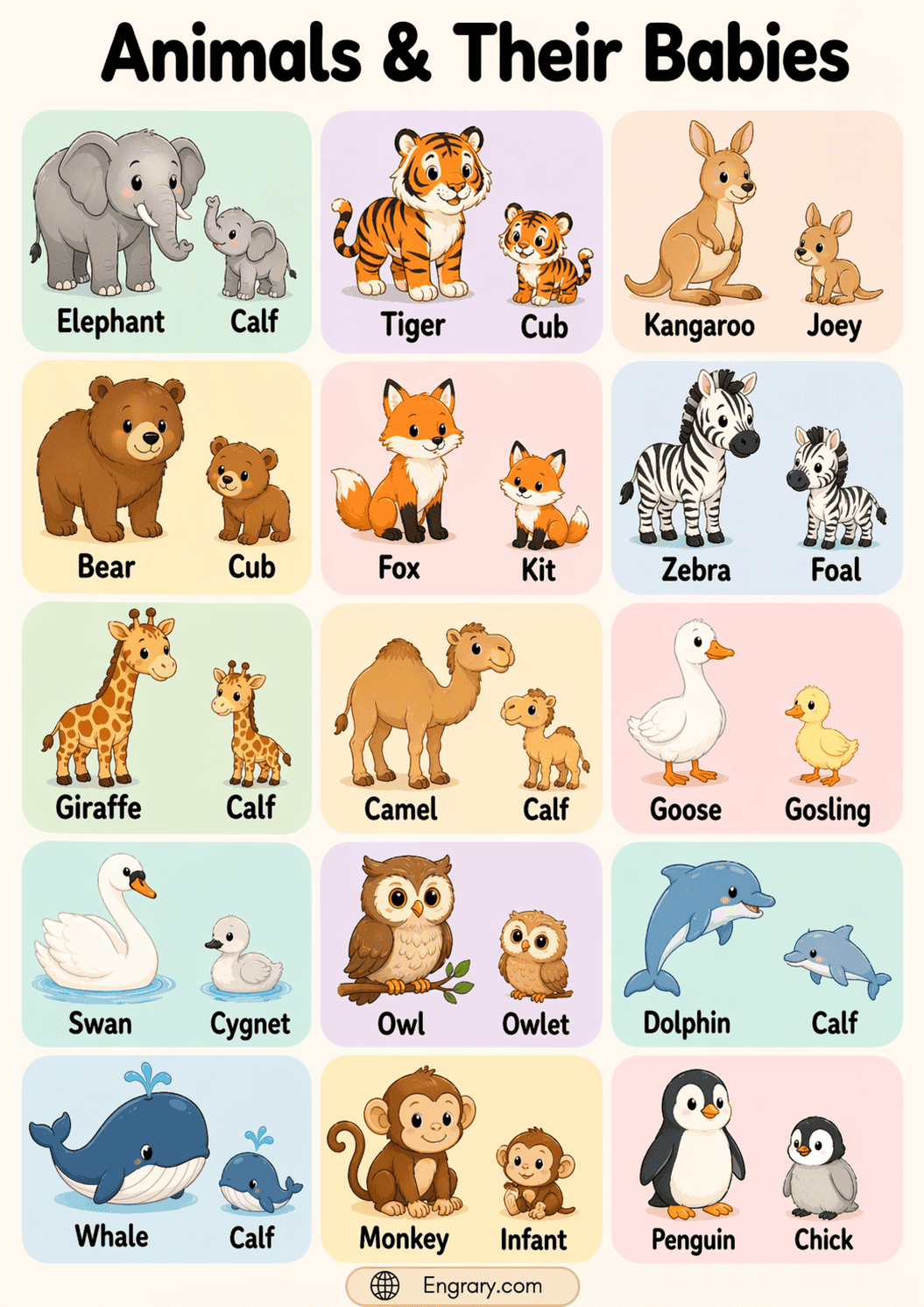 100 animals and their young ones names in English with pictures for students and English learners