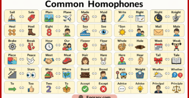 100 examples of homophones in English with sentences, including common pairs like there and their, right and write, and sea and see