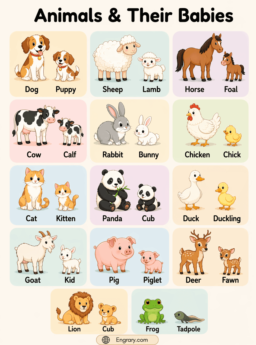 common animals and their babies names in English with images for kids and English learners