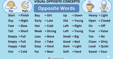 Most common opposite words in English infographic