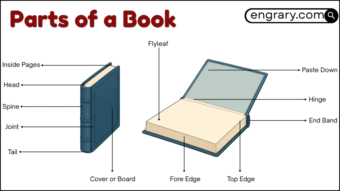 Parts of a book labeled diagram showing external parts front matter body matter and back matter
