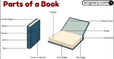 Parts of a book labeled diagram showing external parts front matter body matter and back matter