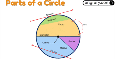 Parts of a Circle Explained With Labeled Diagram