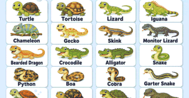 100+ Reptiles Names List for Kids with Pictures
