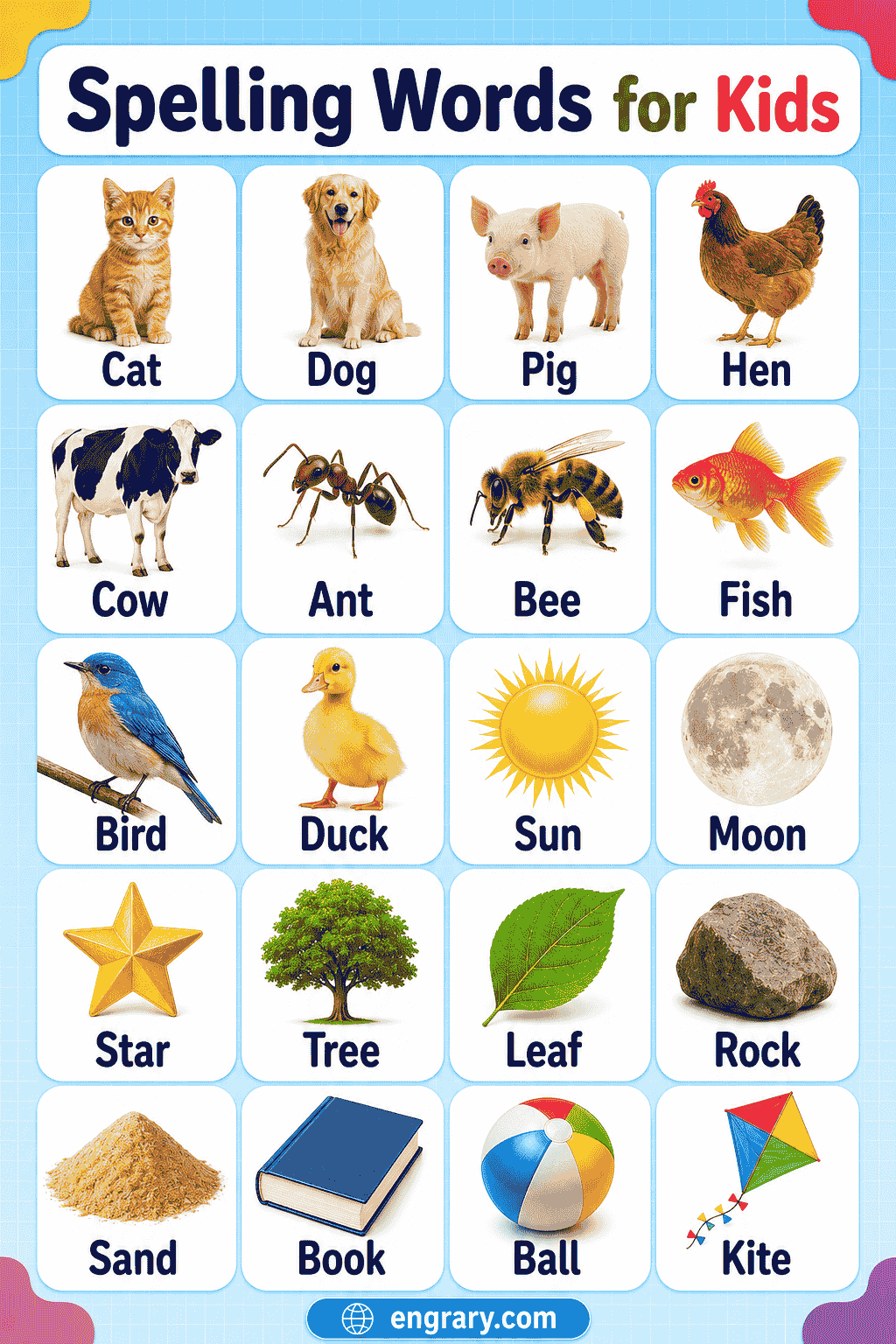 100+ Spelling Words for Kids with Pictures and Meanings