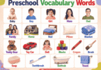 300+ Preschool Vocabulary Words Every Child Should Know
