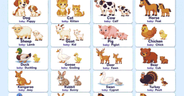 Baby Animals Names for Kids with Pictures and Meanings