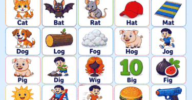 CVC Words for Kids with Lists, Examples and Pictures