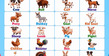 Farm Animals Names List for Kids with Pictures
