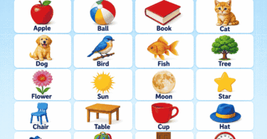 Kindergarten Word List Meanings, Pictures & Sentences