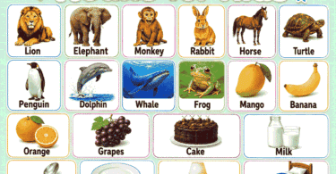 Nouns for Kids with Examples, Pictures, and Sentences