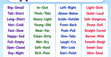 Opposite Words with Sentences for Kids