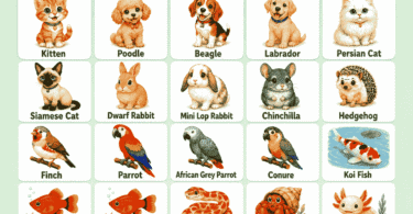 Pet Animals for Kids Names, Pictures, and Sentences
