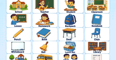 School Vocabulary Words for Kids: Easy Lists with Pictures