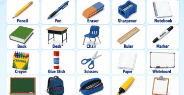 Classroom Objects Names for Kids: Easy Lists with Pictures