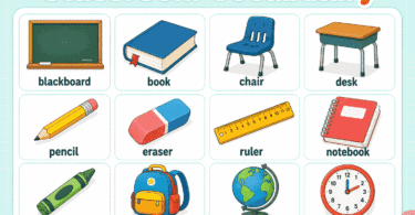 Classroom Vocabulary for Kids: 100+ Words with Pictures
