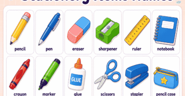 Common Stationery Items Names: Easy List with Pictures